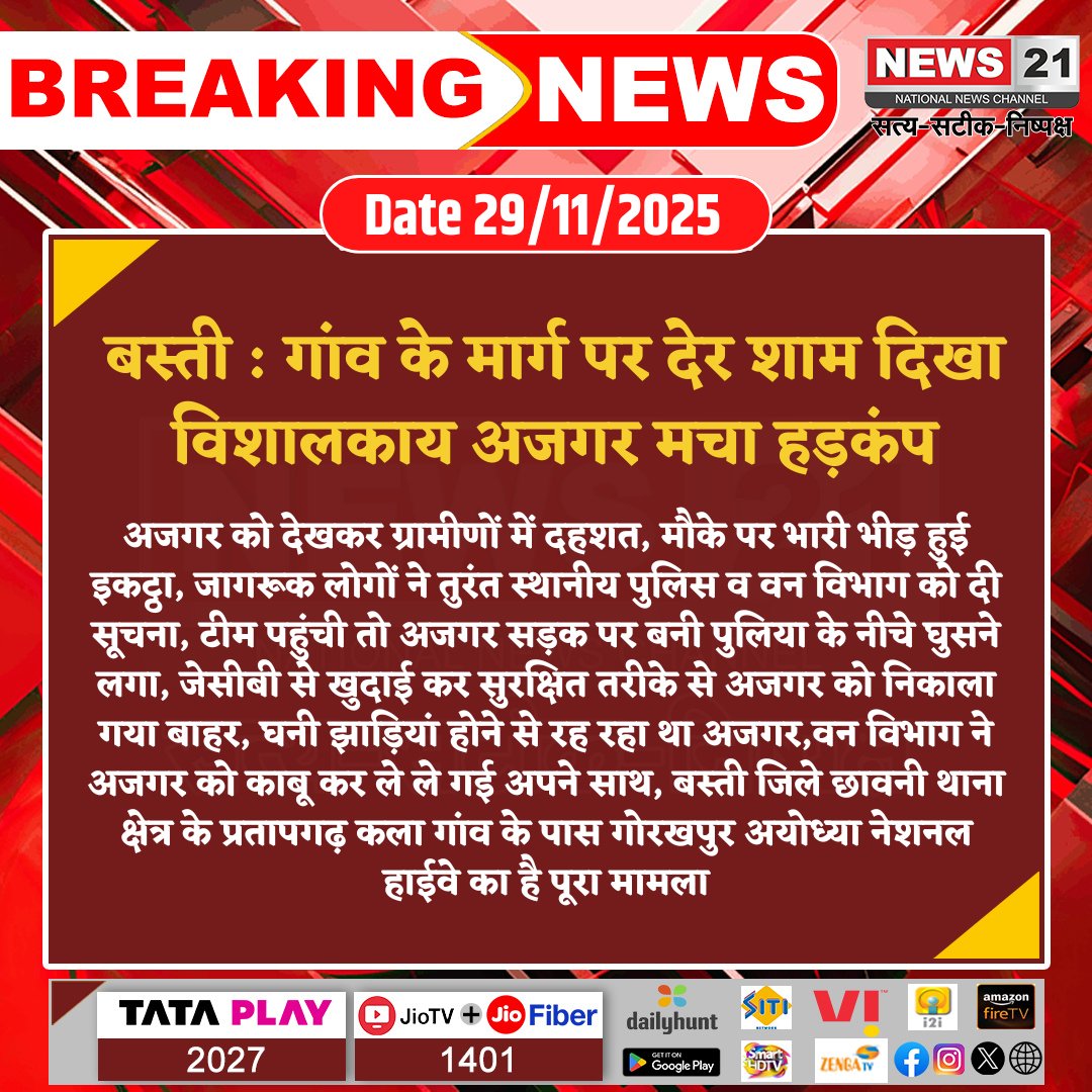 news21national's tweet image. #Basti : गांव के मार्ग पर देर शाम दिखा विशालकाय अजगर मचा हड़कंप

#Basti #PythonRescue #ForestDepartment #WildlifeRescue #BreakingNews #latestnews #News21National
