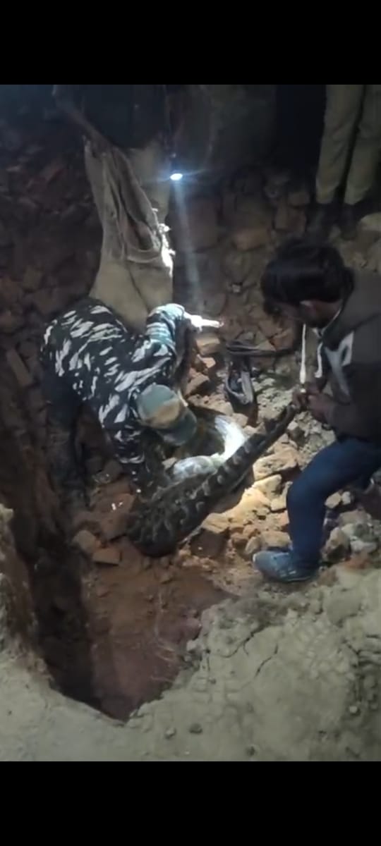 news21national's tweet image. #Basti : गांव के मार्ग पर देर शाम दिखा विशालकाय अजगर मचा हड़कंप

#Basti #PythonRescue #ForestDepartment #WildlifeRescue #BreakingNews #latestnews #News21National