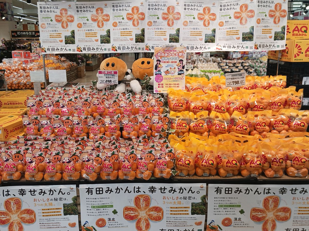 本日 #ウオロク新津店 に有田みかん大使が来てくださりました