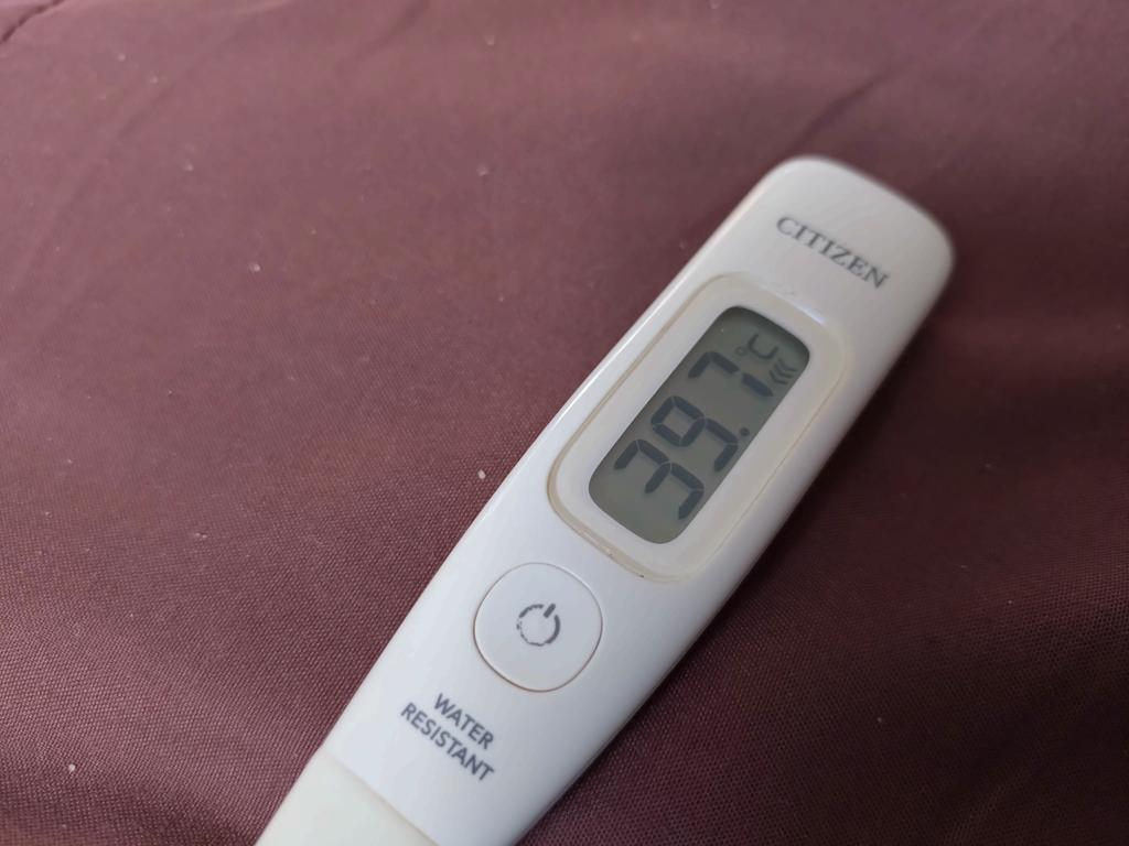 非常にポカポカしております。金曜はやっぱ飲みに行くべきでは無いということか？笑