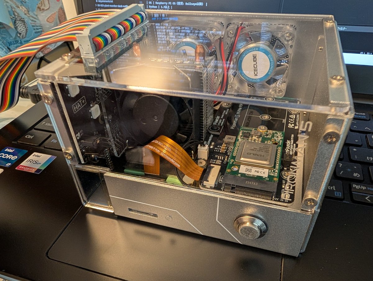 うめぼし (@UmeboshiCenter) / Posts / X