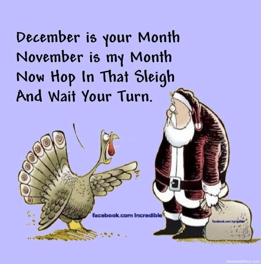 KBow5's tweet image. .@PlanetTyrus @Gutfeldfox #Gutfeld Perfect summation to &apos;when is it time to put up the tree&apos; 

Just remember: Every day you put up a #Christmas tree 🎄before #Thanksgiving 🦃, Santa 🎅drowns an elf 🧝‍♂️🧝‍♀️#PeopleFortheEthicalTreatmentofElves 😏