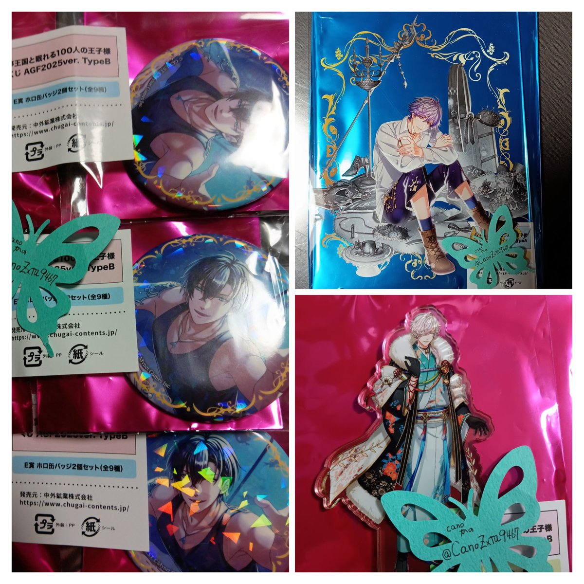 交換 譲渡 夢100 夢王国と眠れる100人の王子様 中外鉱業 くじメイト