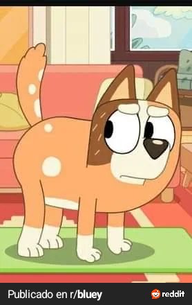 Chilli on 4 legs  🐾🧡
(Well, it makes sense, she's a dog xd)