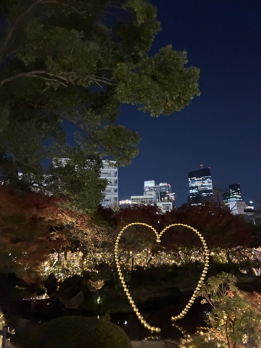 日比谷も六本木も綺麗でした