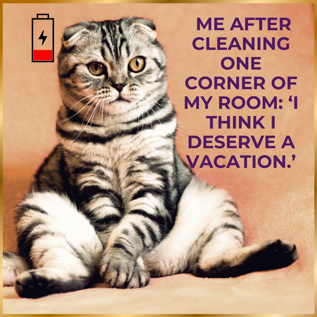 hrikutoys's tweet image. Cleaning your room is just finding random stuff and deciding you still need it, but in a slightly different spot.

#catnip #catmeme #uttarakhand #cattoys #madeinindia #vocalforlocal #cats #pettoys  #toy #meow #catniphigh #catniptoy
