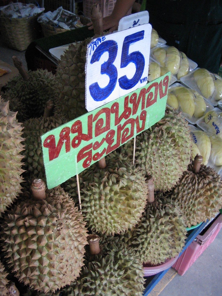 (･～･ ).｡oO(なるほど、Durianはトゲを持つモノなのか！)