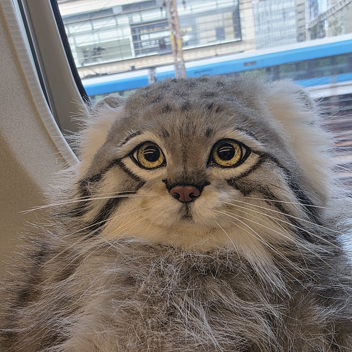 ochamemö ○△□｜おちゃめも (@rik27xxx) / Posts / X