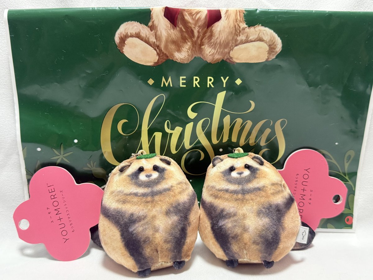 だいぶ早いクリスマスプレゼントをもらった🎄たぬき、かわいい☺️双子。