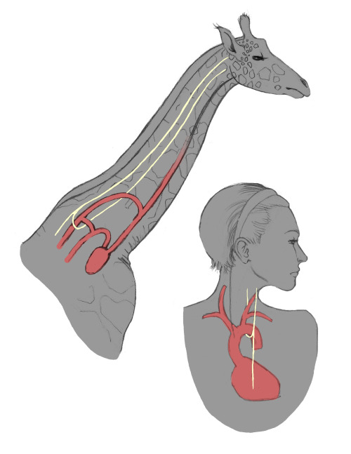 egregirls's tweet image. perfectly designed