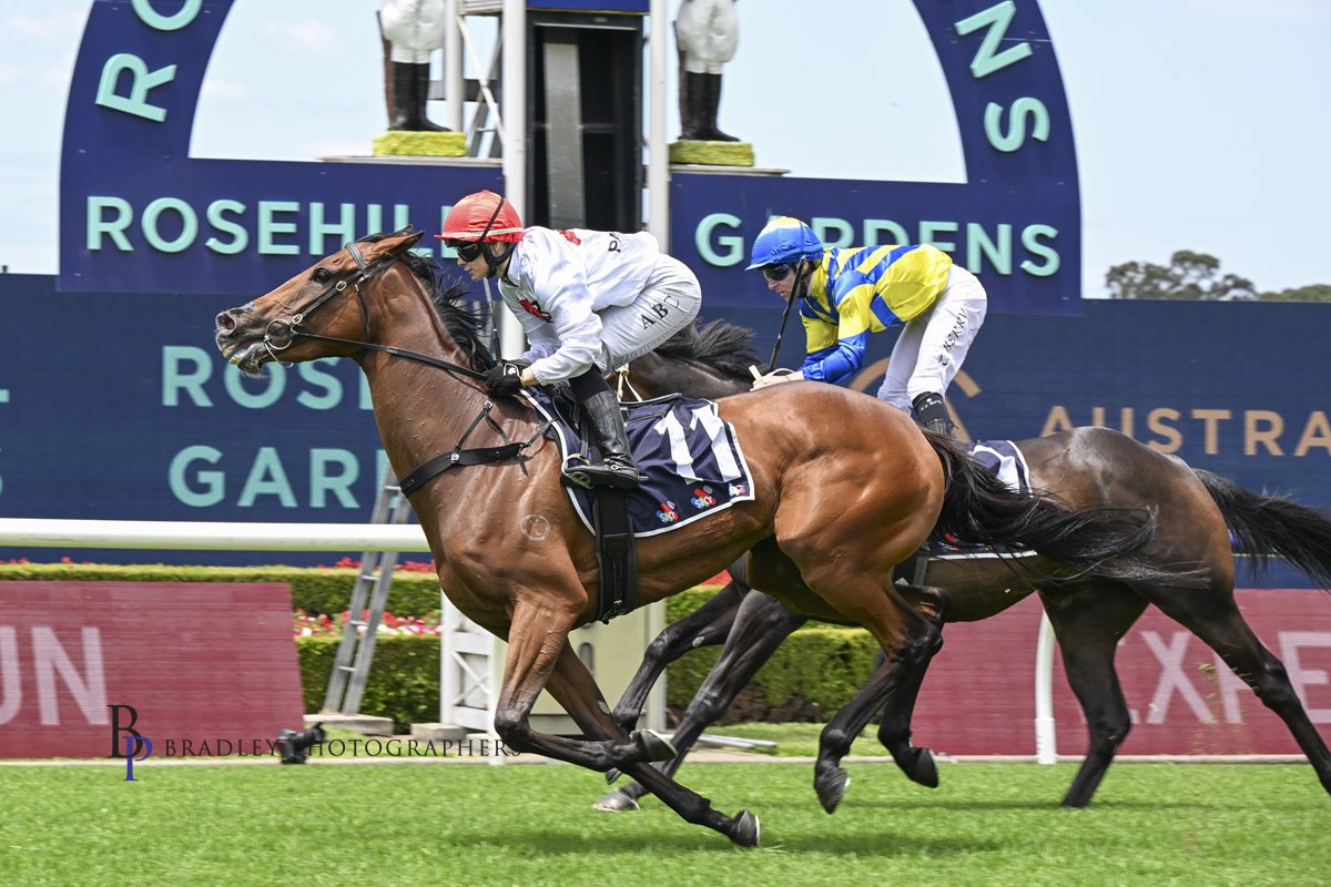 GEEMES ❤️

This is what it’s all about, happy owners many their first horse and a winner at Rosehill, how good!

Send us an email to get involved with our next tried horse 
Info@patriotbloodstock.com.au