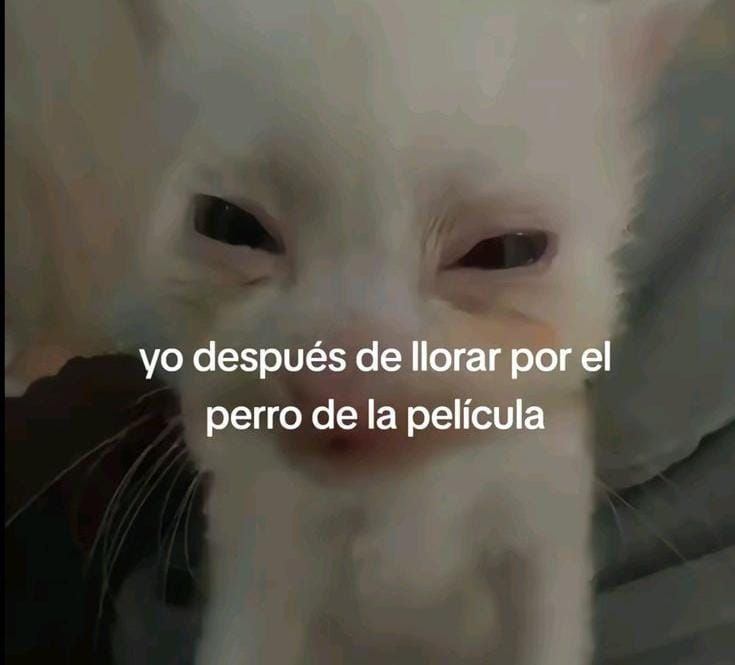 gojodement___'s tweet image. 