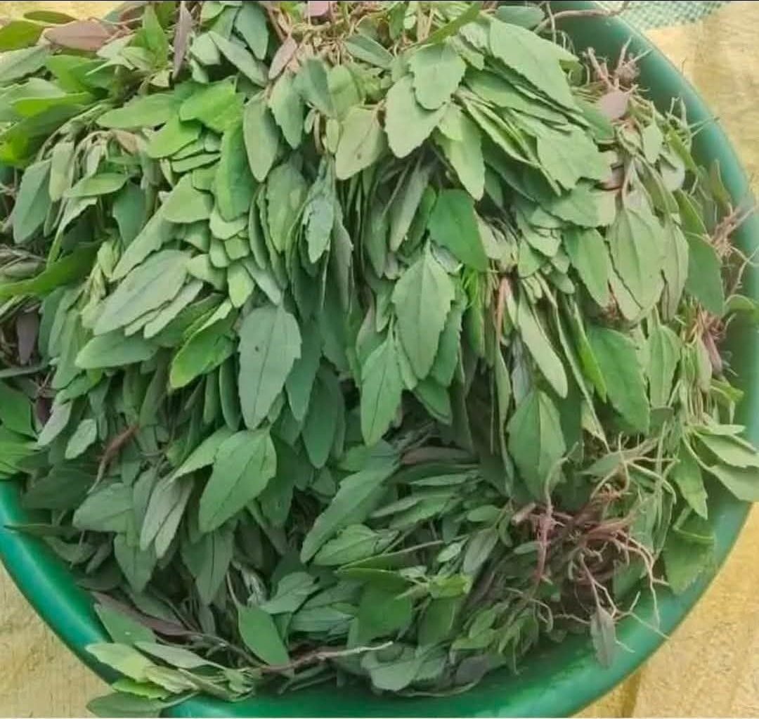 सिर्फ किसान भाई बहन बता पाएंगे ये क्या रसायन है