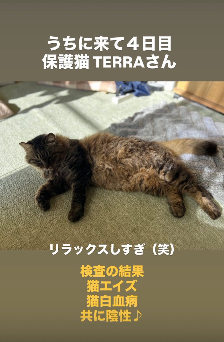 IMAYOKU1's tweet photo. https://t.co/uLBbfkXK5u