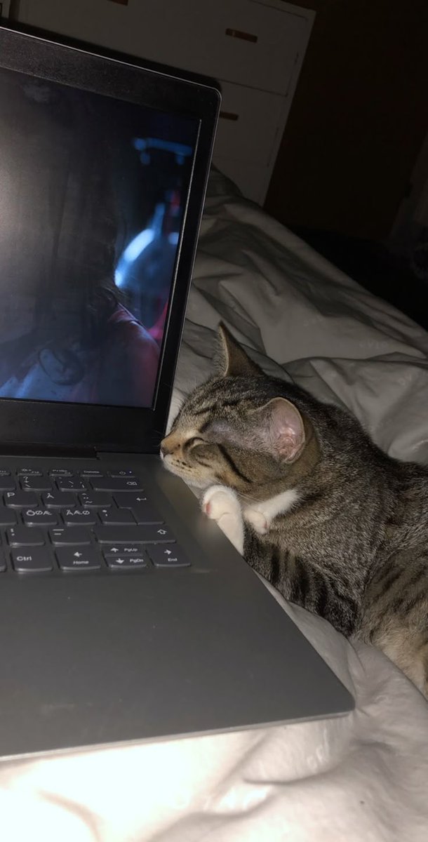 ㅤ

#XHOURS_DAN
[29/11/2025, 10:43]

🤫
ㅤ