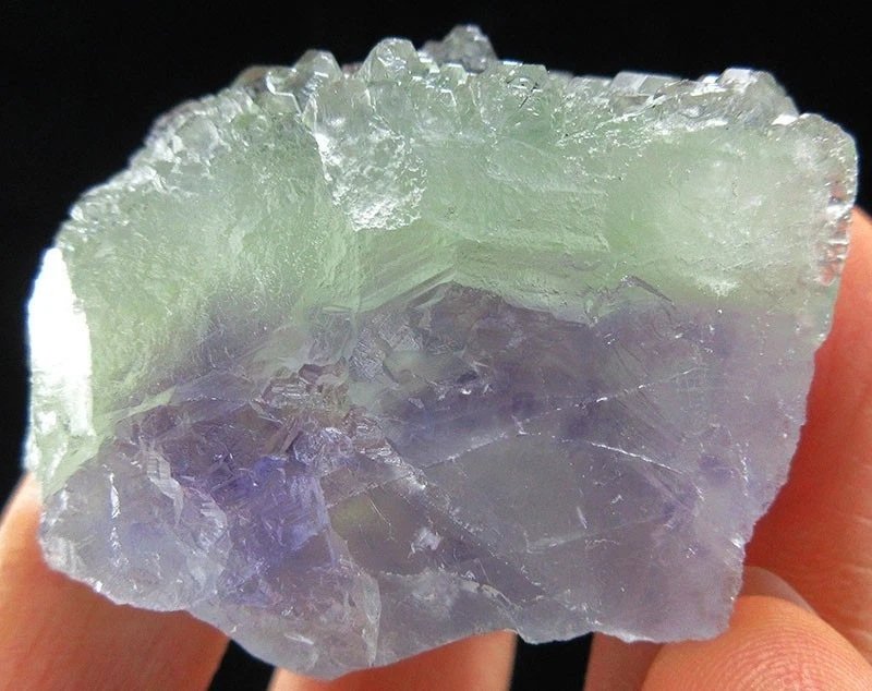 🕺今回はすべて500円スタートの出品です🉐 中国 福建省産のフロー