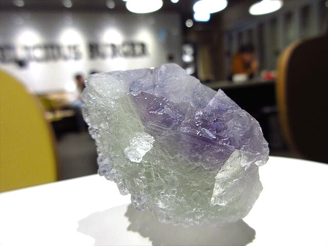 🕺今回はすべて500円スタートの出品です🉐 中国 福建省産のフロー