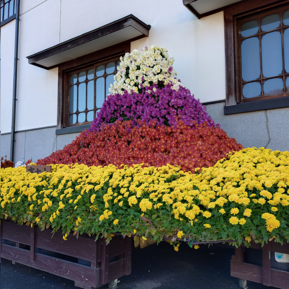 ujksanyuutei's tweet image. 着いたあ！
ながめ余興場だよ！