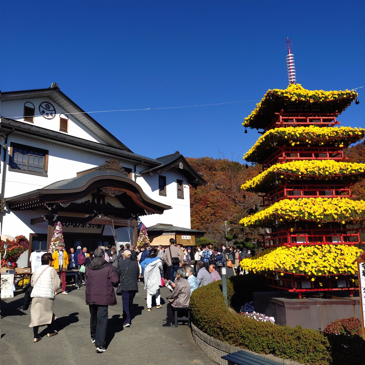 ujksanyuutei's tweet image. 着いたあ！
ながめ余興場だよ！