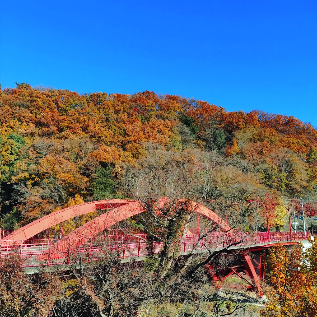 ujksanyuutei's tweet image. 着いたあ！
ながめ余興場だよ！