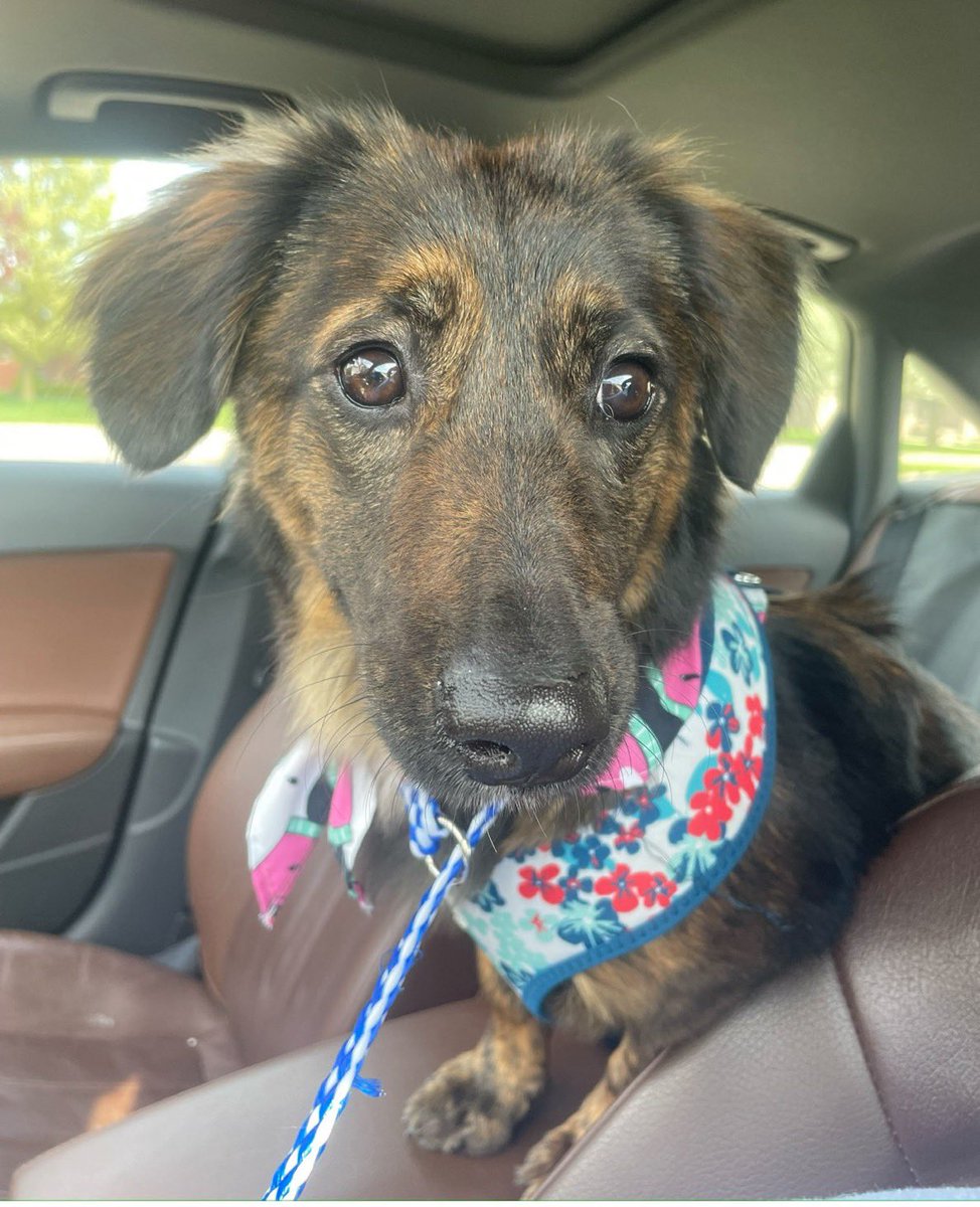 <a href="/official_smol_/">Official Smol</a> <a href="/vibhu/">vibhu</a> <a href="/solana/">Solana</a> Bookmarked!! <a href="/official_smol_/">Official Smol</a>