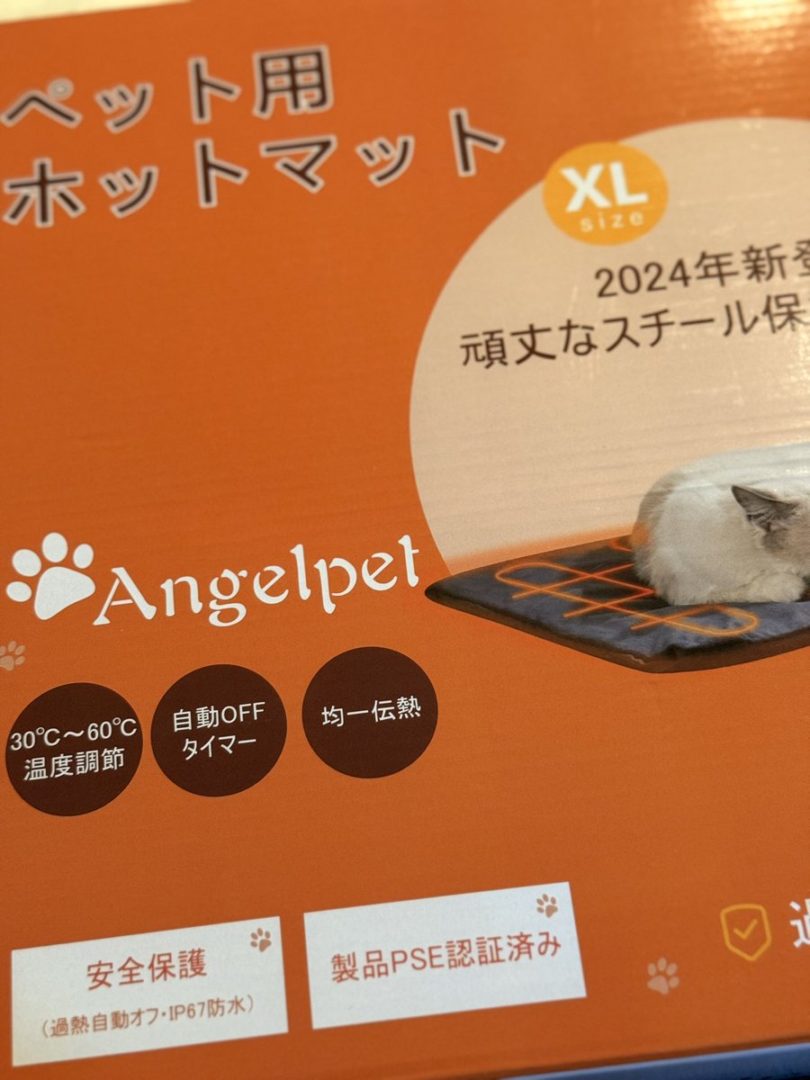 lily-an / りりあむ🦭 (@liztora) / Posts / X