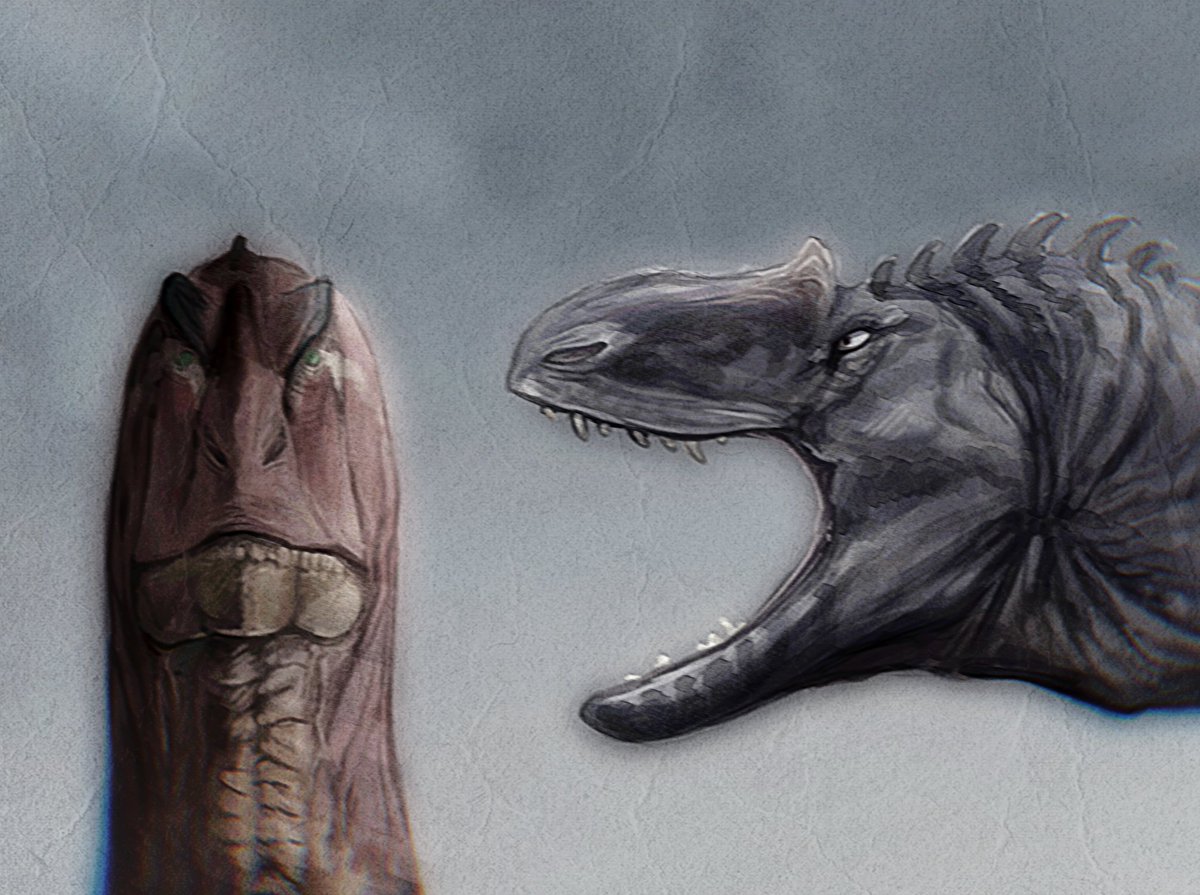 Lavender 蓝桉 tweet media