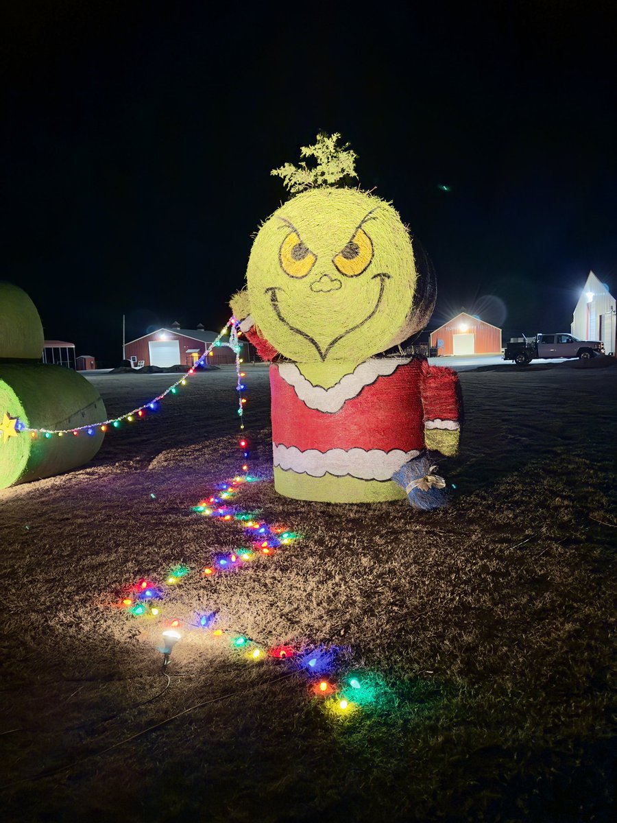 LungrenBaleArt's tweet photo. Keeping alive a tradition started by angel 😇 Rod Lungren — building a Christmas scene out of hay bales, paint, and farm scraps to spread Christmas cheer.

This year’s creation: Cindy Lou Who &amp; the Grinch! 💚🎀🎄
Merry Christmas from our family to yours! 🎅🏼 https://t.co/w3bVsm111g