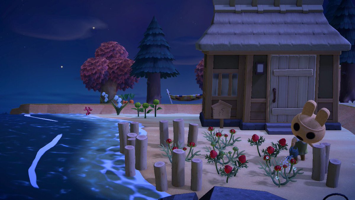 crizzybeez tweet media