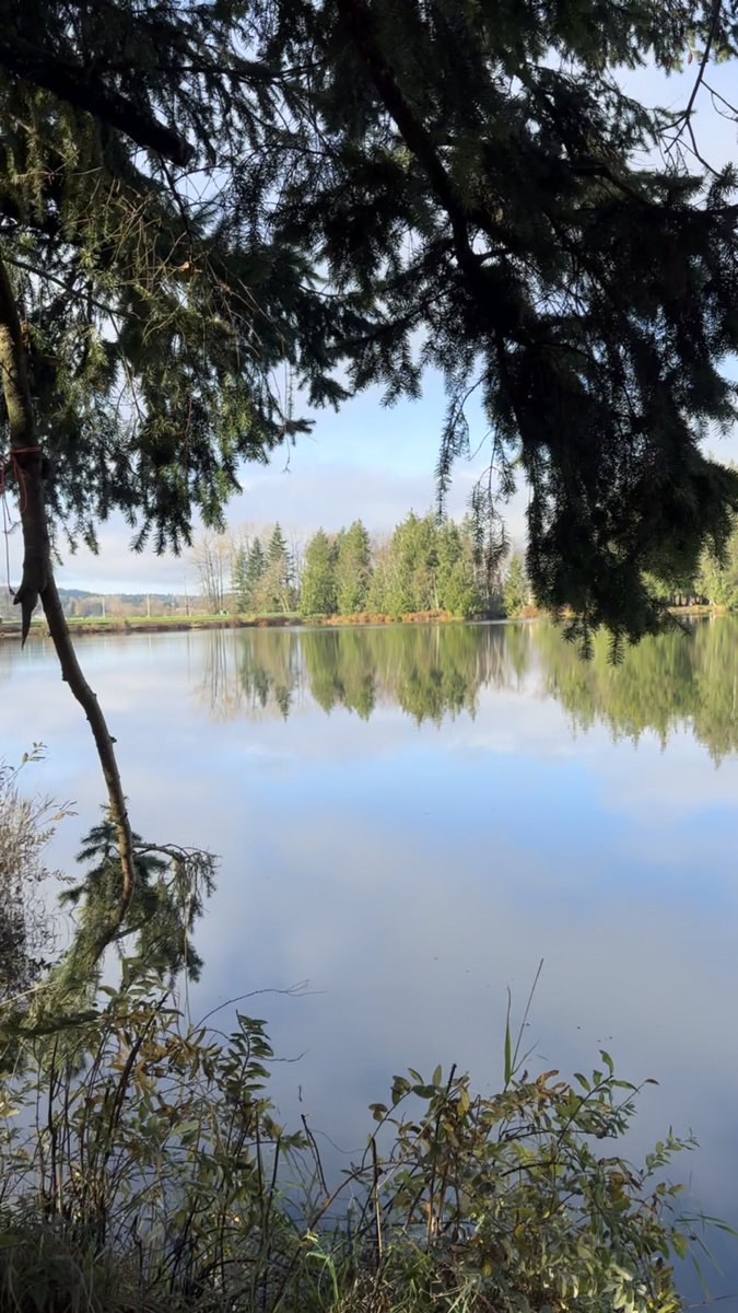 crizzybeez tweet media