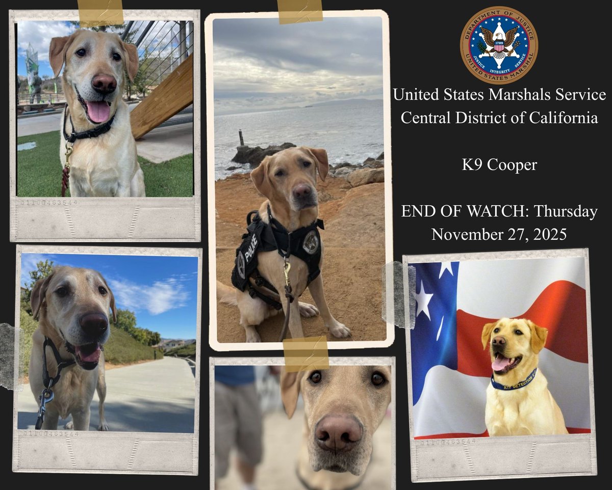 U.S. Marshals Service Los Angeles tweet media