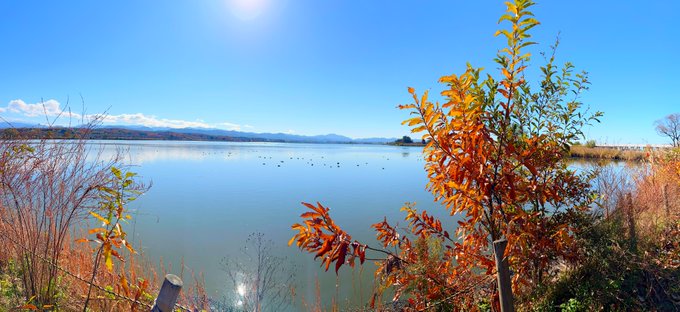 コスプレイヤーここねのTwitter画像50