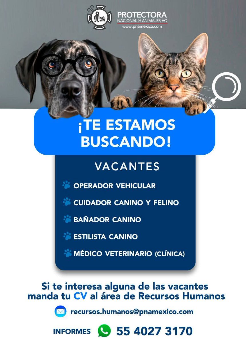 pnamexico's tweet image. #OportunidadLaboral 🧐¡TE ESTAMOS BUSCANDO , TENEMOS VARIAS VACANTES EN CDMX!

☎️Informes WhatsApp 55 4027 3170

#Lomitos #michis #trabajo #pnamexico