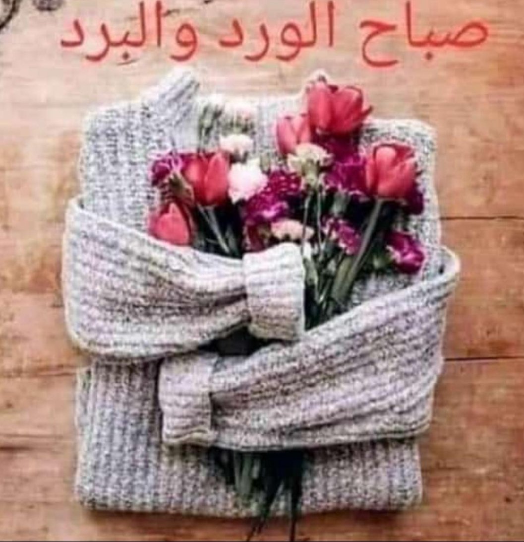 نهاية أسبوع جميلة ومباركة عليكم!
أتمنّى أن تحمل لكم الراحة والهدوء وكل ما يفرح قلبكم 🌿✨