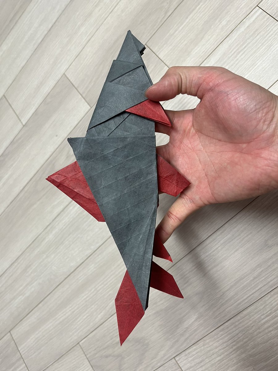 レインボーシャーク
rainbow shark