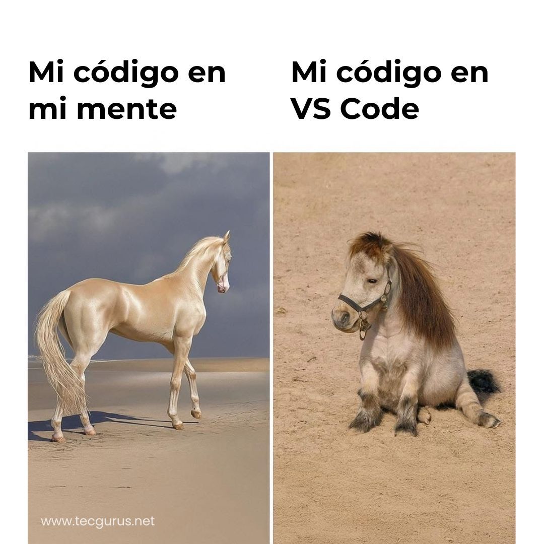 tecgurusnet's tweet image. La verdadera diferencia entre teoría y práctica 🧠⚙️ 

#SoyGuru #Programacion #Meme