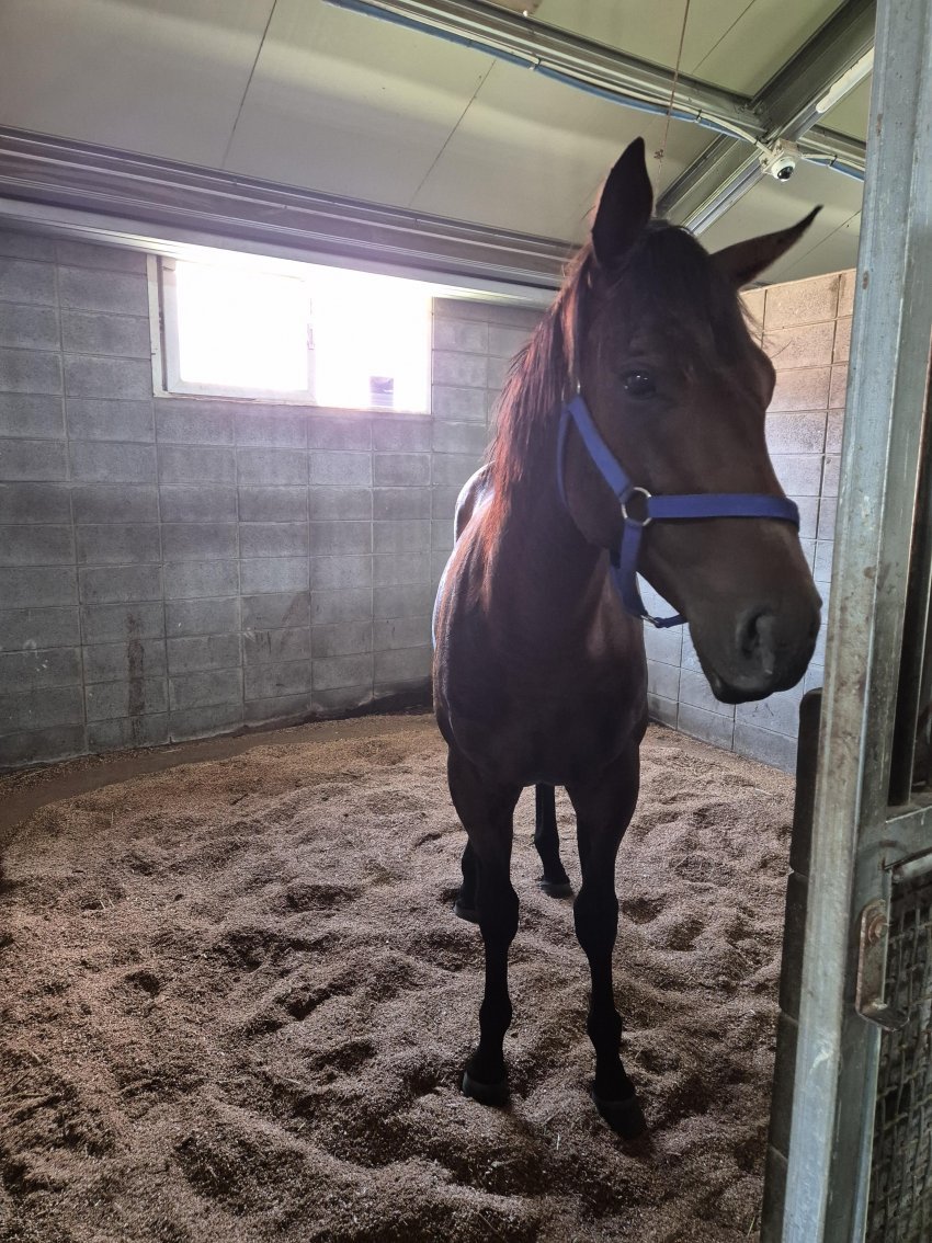 87 국군덕계사 tweet media