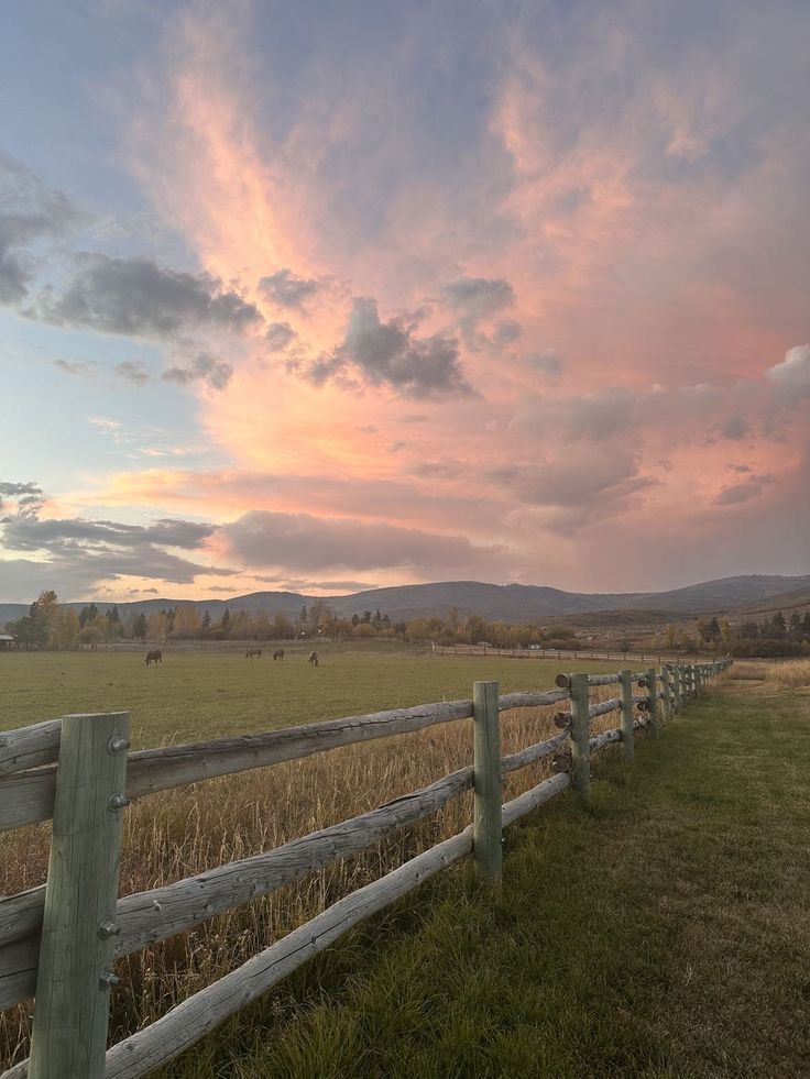 ali_hoonn's tweet image. Good Morning 𝕏 Family 😘 

Are You Active Mates 😼