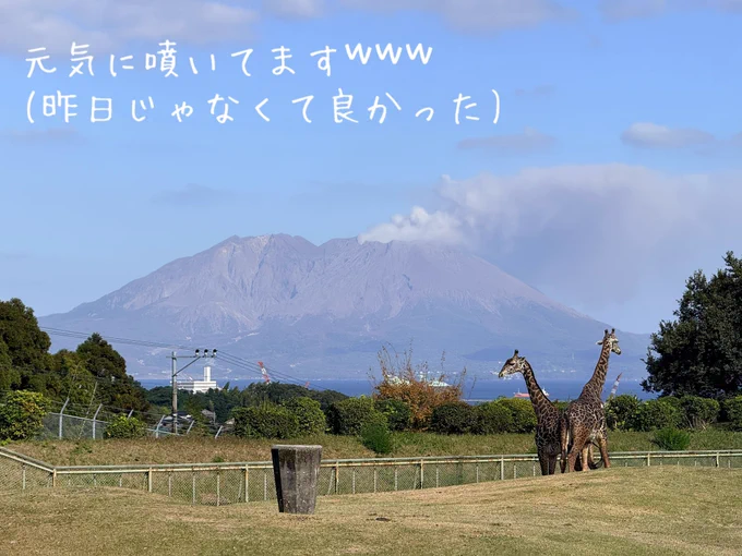 仕事で訪れましたが 館迄来たのに 写真撮ってないし𐤔𐤔𐤔