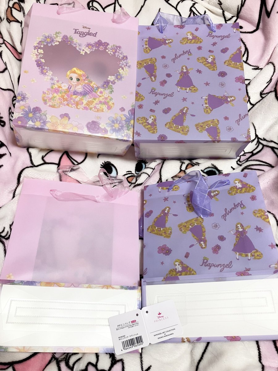 セリアのしょこたんラプンツェル🪔💜🎀✨ 中開くクリアファイル可愛