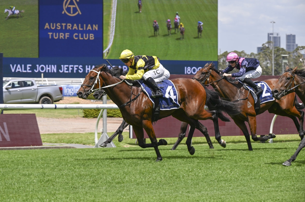 aus_turf_club's tweet photo. Rotagilla for @cwallerracing ridden by @clarkyhk takes out the Vale John Jeffs Hcp at Rosehill Gardens. 

Jockeys wore black armbands to pay their respects. 

📸 Bradley Photos https://t.co/lQVQ8NNWYc