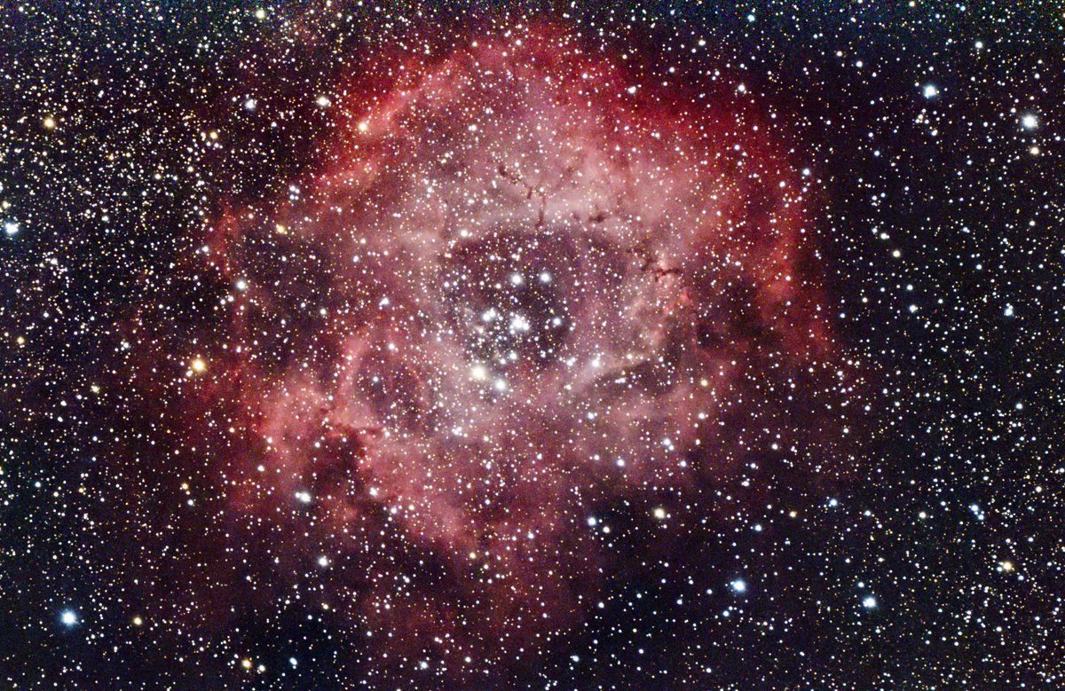 chimura_'s tweet photo. バラ星雲（Rosette Nebula）　HAC125DX＆SV705C 8secx384 自宅ベランダからのお手軽撮影です（＾＾） https://t.co/REL4yWHZrp