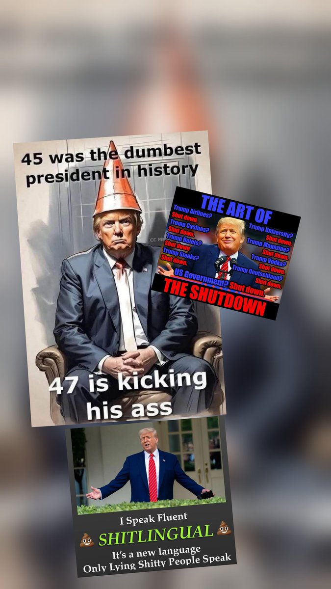 The entire Trump presidency will be null and void and taught as a lesson on stupidity to future generations