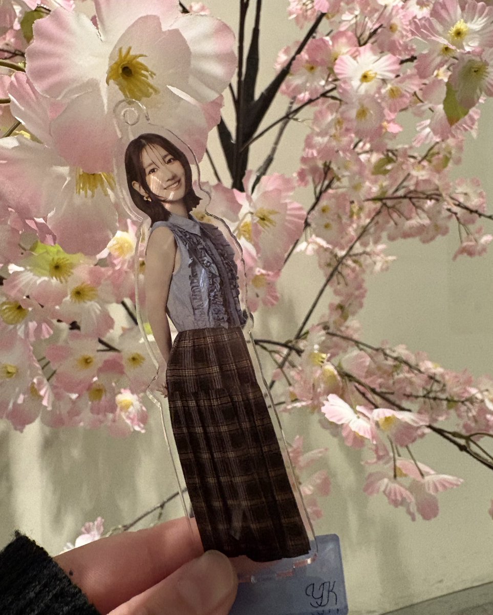 とびー (@ryokiRing) / Posts / X