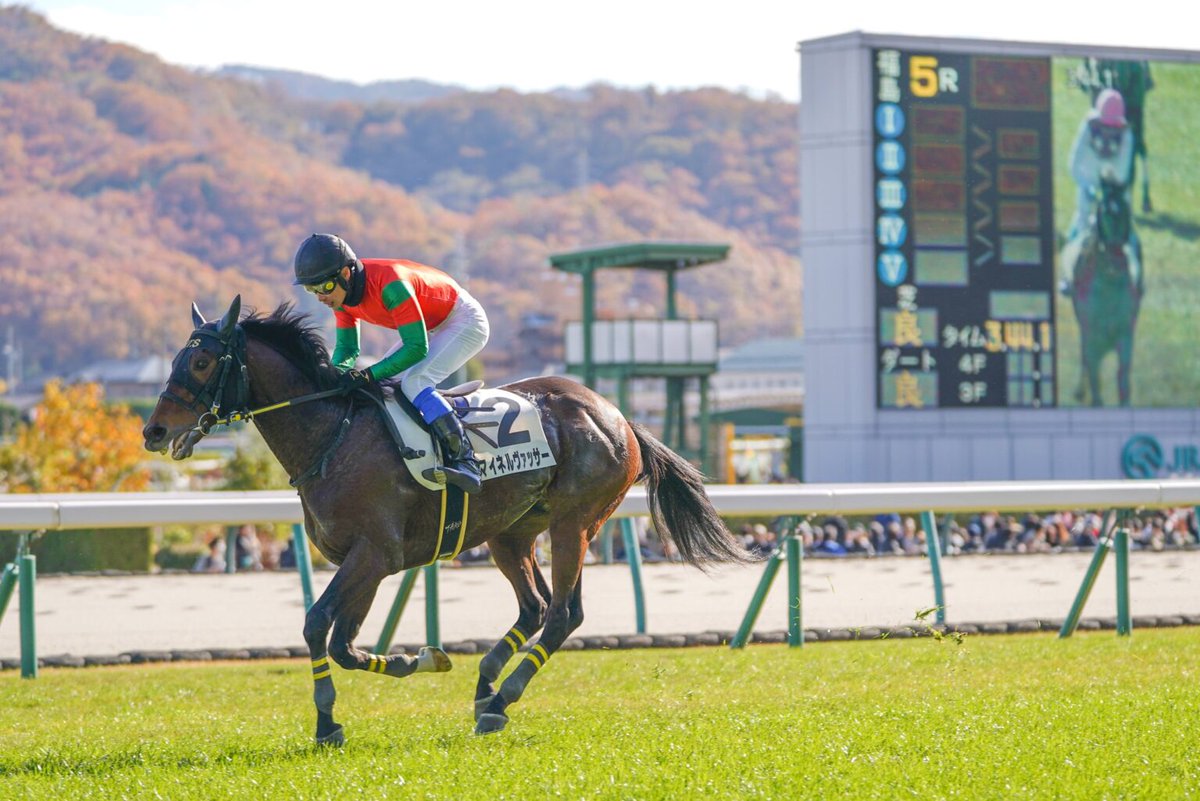 norauma (@norauma5) / Posts / X