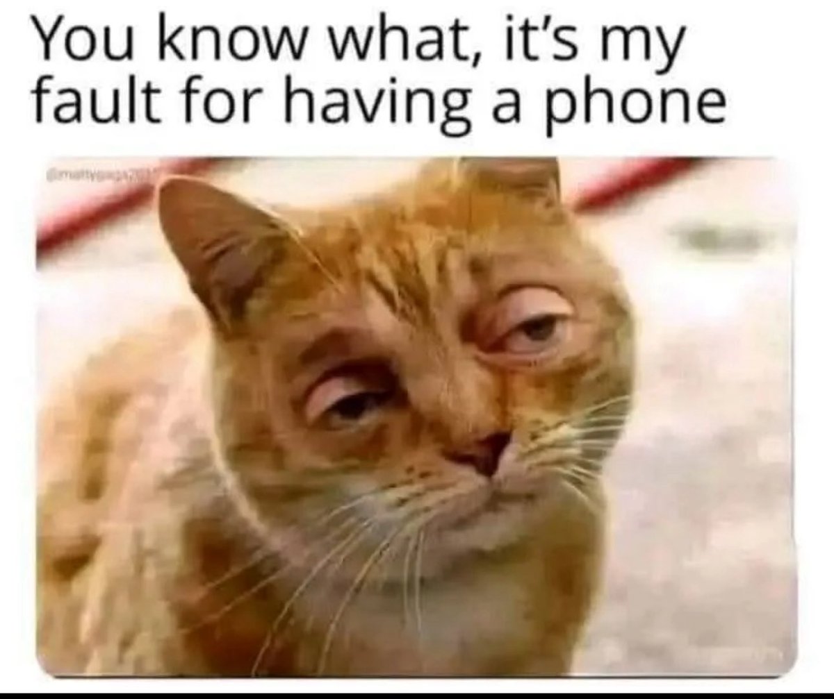 Rosy (@itsrosy) on Twitter photo 