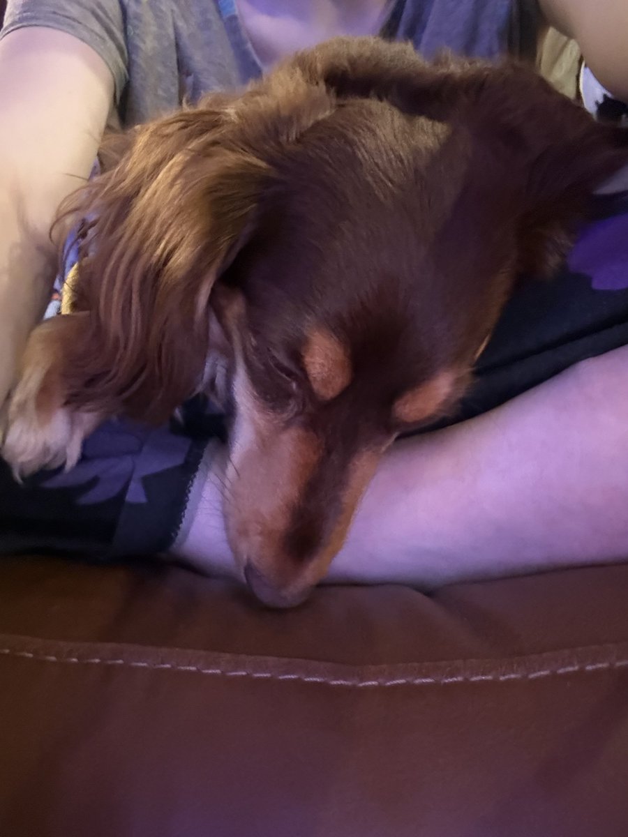 Teru is snuggled up and watching a <a href="/pawpatrol/">PAW Patrol</a> Christmas with me. ((Even if her girl Liberty isn’t in it))
