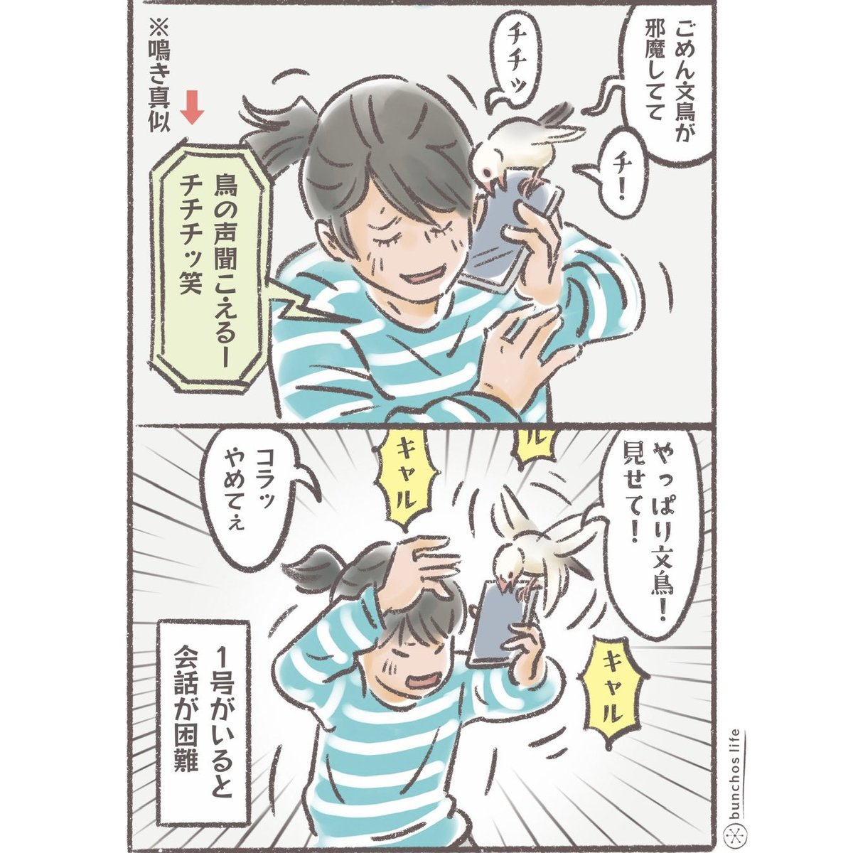 こむぎ🕊️ (@komugi_chan55) / Posts / X