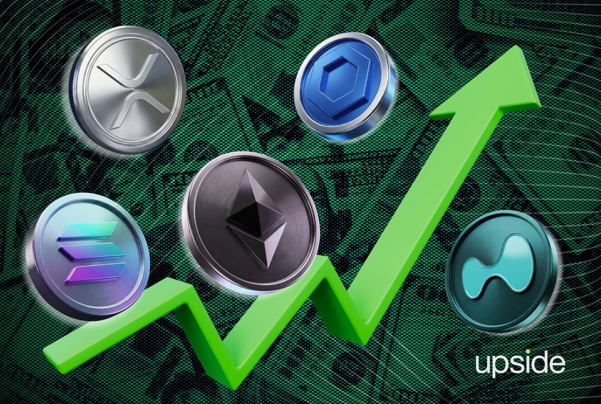 Jimmy Đạt tweet media