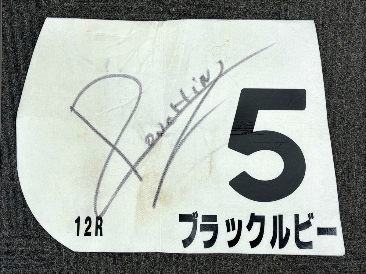 アイドルホース記念-芝1800㍍-🐴 (@JoieDeVivre82) / Posts / X